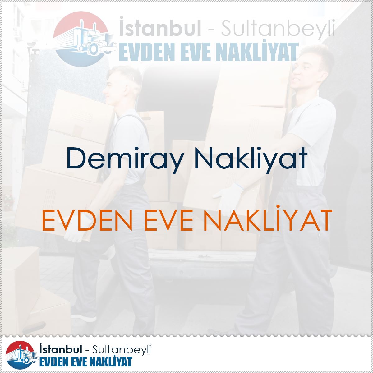 Demiray Nakliyat logo