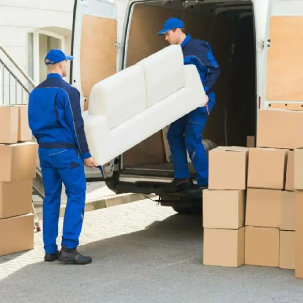 Taşınırken yapılan hatalar ve çözüm önerileri : Kapak Görseli